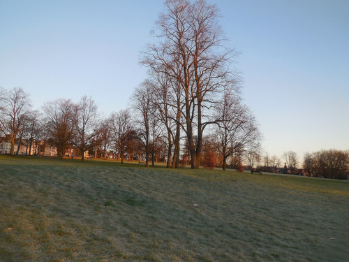 Spinney Hill Park - Leicester 22nd January 2021.jpg