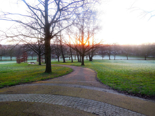Spinney hill Park Leicester 22nd January 2021.jpg