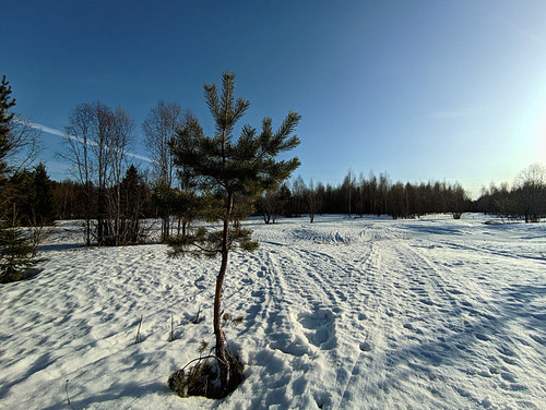 PXL 20230407 1.jpg