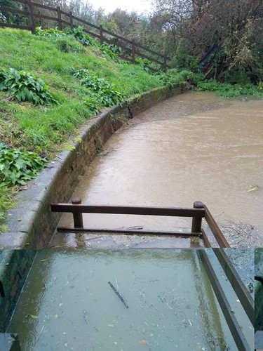 IMG 20191026 090652550.jpg