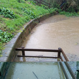 IMG 20191026 090652550