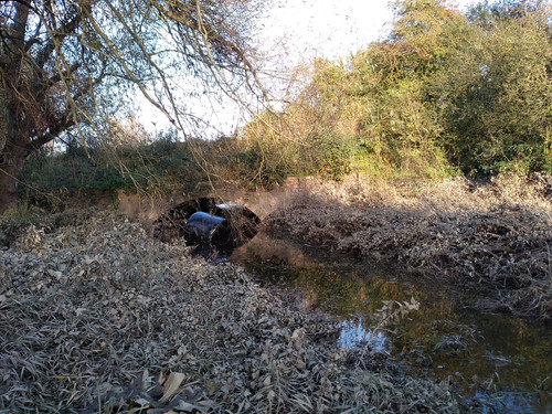 IMG 20191029 152051641.jpg