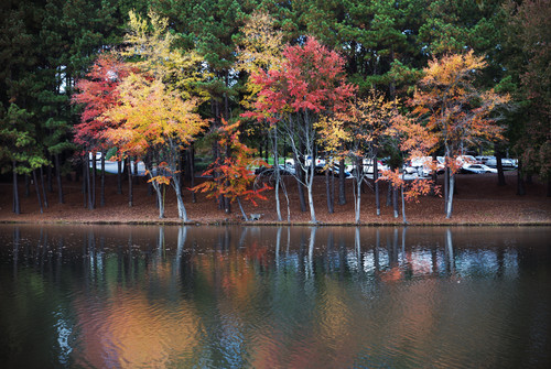 Fall Reflections K55.jpg