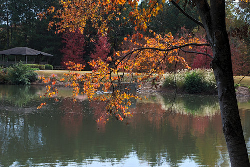 Fall Lakeside K55.jpg