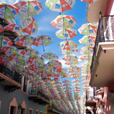 Umbrellas in front of City Hall