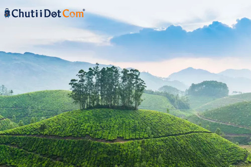 Chutii Dot Com: Top Arunachal Tour Provider in Kolkata, India: Scenic West Kamen.jpg