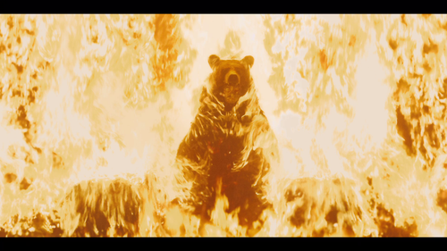 vlcsnap 2019 11 10 15h31m58s301.png