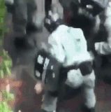7 cWTsFEc.gif