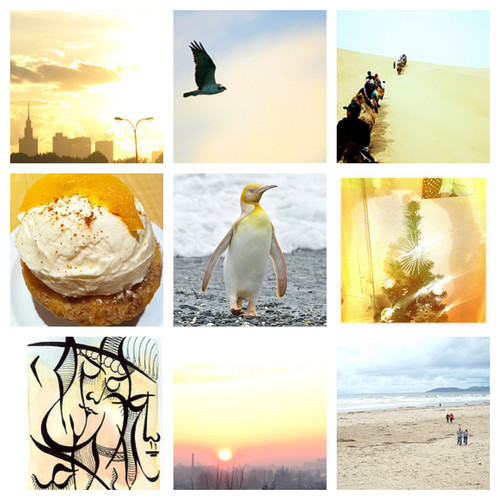 befunky 2022 11 4 12 26 34