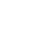 yesterday