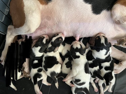 E41BF858 CA3A 4C2D B09A 5072D0ED74BC