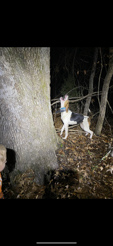 4C1D612F 11AD 4CBC 9ADC 0B4FF0AA3860