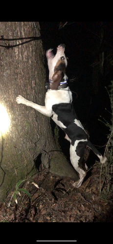 6F99D972 CD94 4A17 881A D3D3EA8658B0