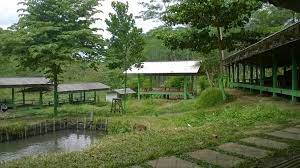WIsata puulonggida.jpg