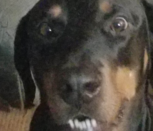 317494895 671477788021448 3100933225600306796 n