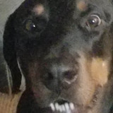 317494895 671477788021448 3100933225600306796 n