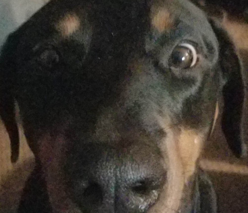 317858914 1083987002274189 968502265608278777 n