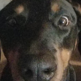 317858914 1083987002274189 968502265608278777 n