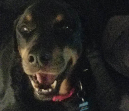 317229837 662638182198104 5246486234128096991 n