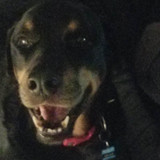 317229837 662638182198104 5246486234128096991 n