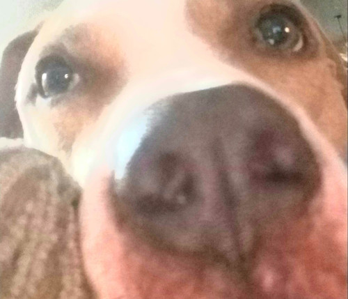 317267778 641081031178881 3020376709660431256 n