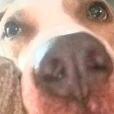 317267778 641081031178881 3020376709660431256 n