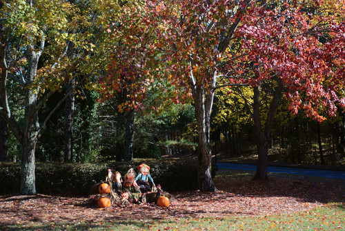 Pumpkin Family.jpg