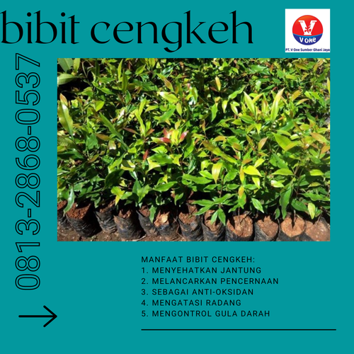 png 20221129 072234 0000.png