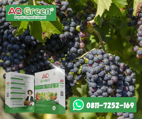 BERKUALITAS, Call WA 0811 7252 169 Grosir pupuk organik jago tani di Lampung Timur.jpg
