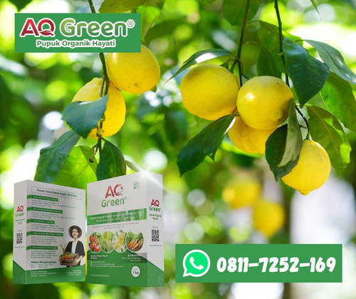 CEPAT PANEN, Call WA 0811 7252 169 Jual pupuk organik jamur tiram di Lampung Timur.jpg