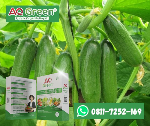 BELI SEKARANG, Call WA 0811 7252 169 Distributor pupuk organik jimmy hantu di Lampung Timur.jpg