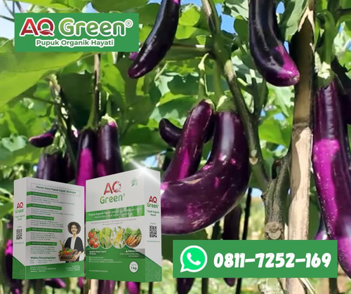 PALING LARIS, Call WA 0811 7252 169 Supplier pupuk organik java green di Lampung Timur.jpg