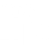 Discovery Life
