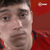 james.gif
