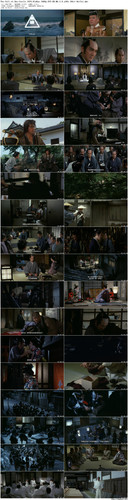 The.Fall.of.Ako.Castle.1978.BluRay.1080p.DTS HD.MA.2.0.x265.10bit BeiTai preview.jpg