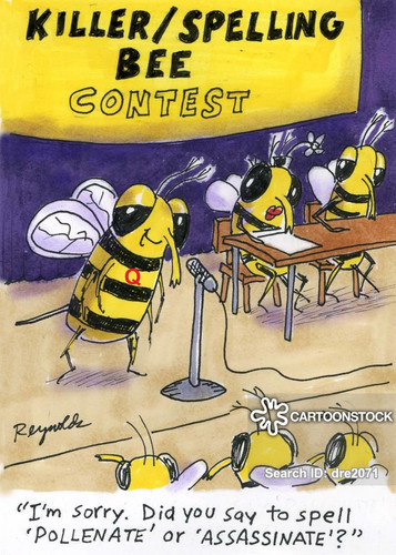Killer Q bee spelling bee.jpg