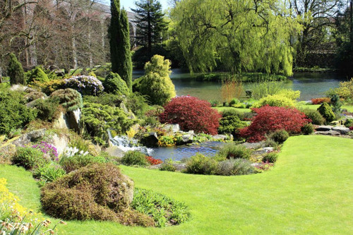 Landscape Maintenance valleylandscapeaz.com.jpg