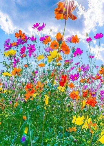 FB IMG 1649675386566.jpg