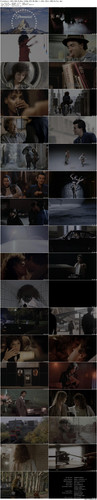 Flashdance.1983.UHD.BluRay.2160p.DTS HD.MA5.1.x265.10bit.HDR BeiTai preview.jpg