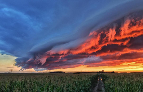 Snapinsta.app 14134976 1065386046890213 496413035 n 1080.jpg