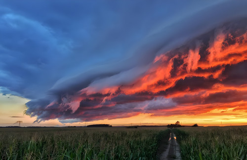 Snapinsta.app 14134976 1065386046890213 496413035 n 1080.jpg