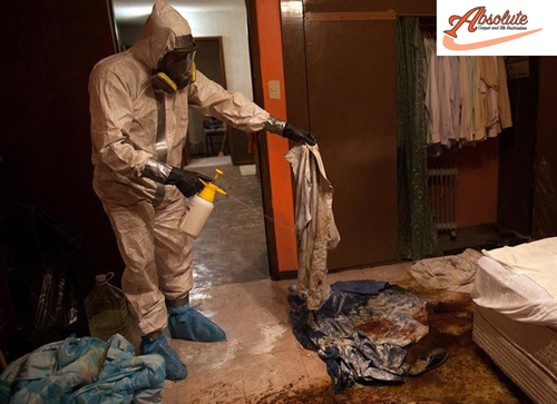 Find the Forensic Cleaning Enid.png