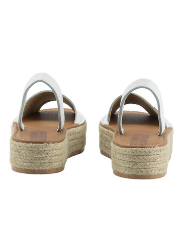 275311 PhotoRoom PhotoRoom (2).jpg