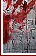 red2 7.png