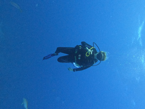Scuba Diving Punta Cana.jpg