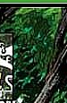 robyn3 8.png