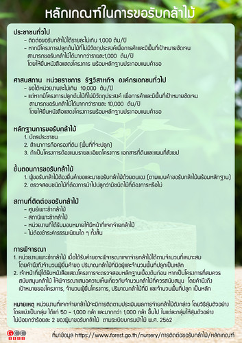 64 mnre forest how2treeseedlings 2.jpg