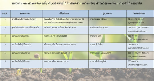 64 mnre wood seed contact.jpg
