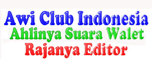 blogspot Landingpage