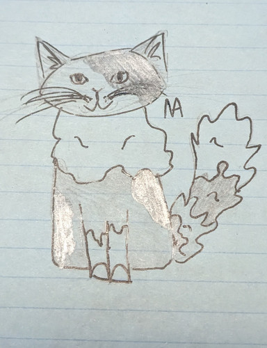 PXL 20230520 042007523.jpg